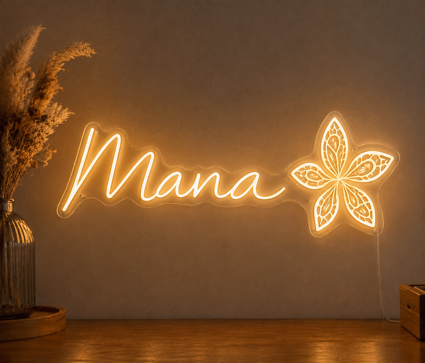 Néon Mana Viva Style